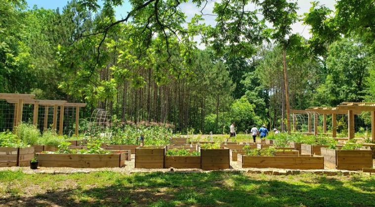 Atlanta's Food Forest